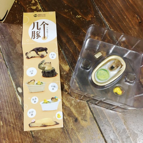 f:id:paseyo:20190610101104j:plain