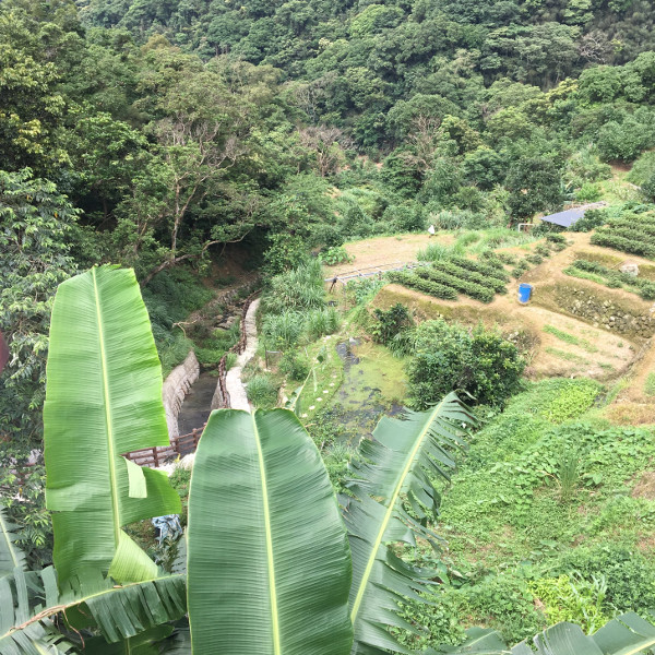f:id:paseyo:20191027071707j:plain