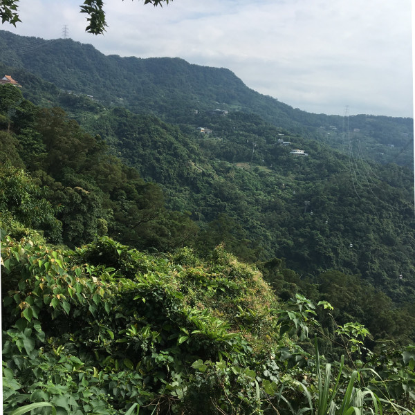 f:id:paseyo:20191027071716j:plain