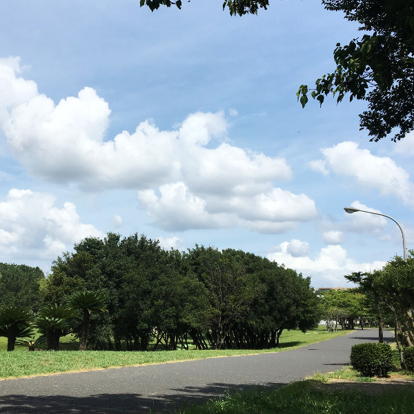 f:id:paseyo:20191027161219j:plain