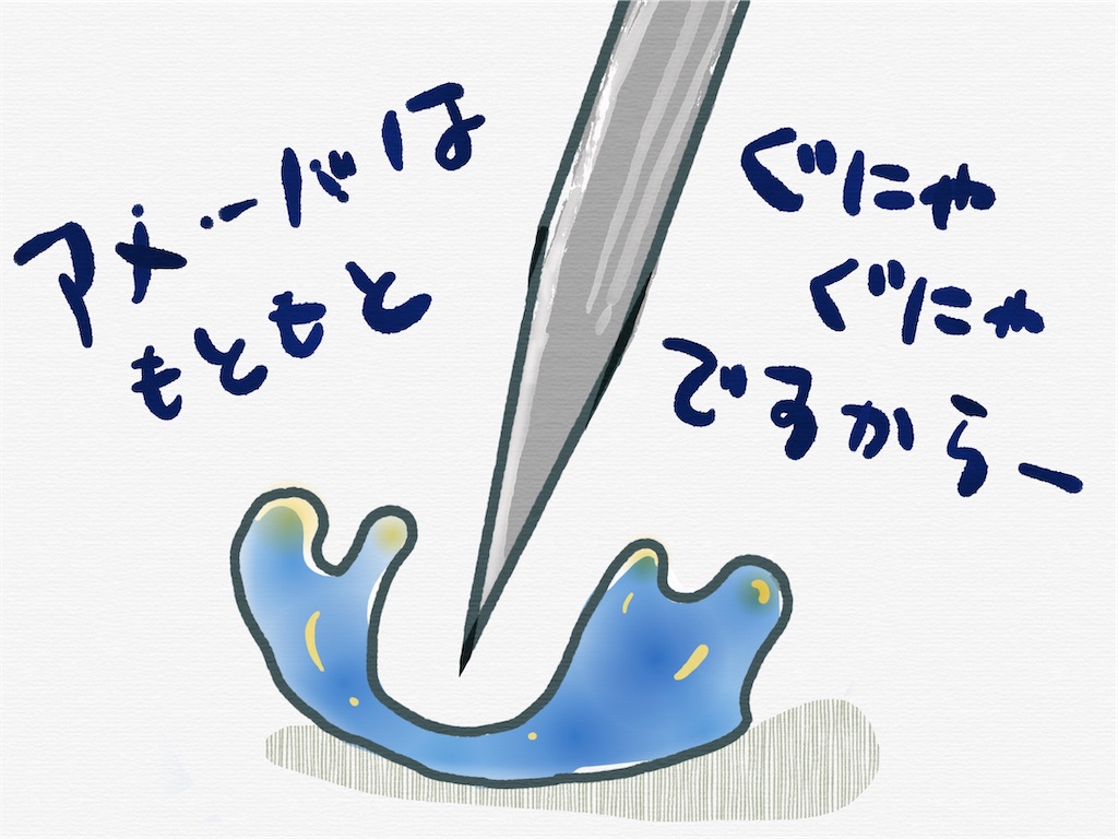 f:id:paseyo:20191220205917j:image