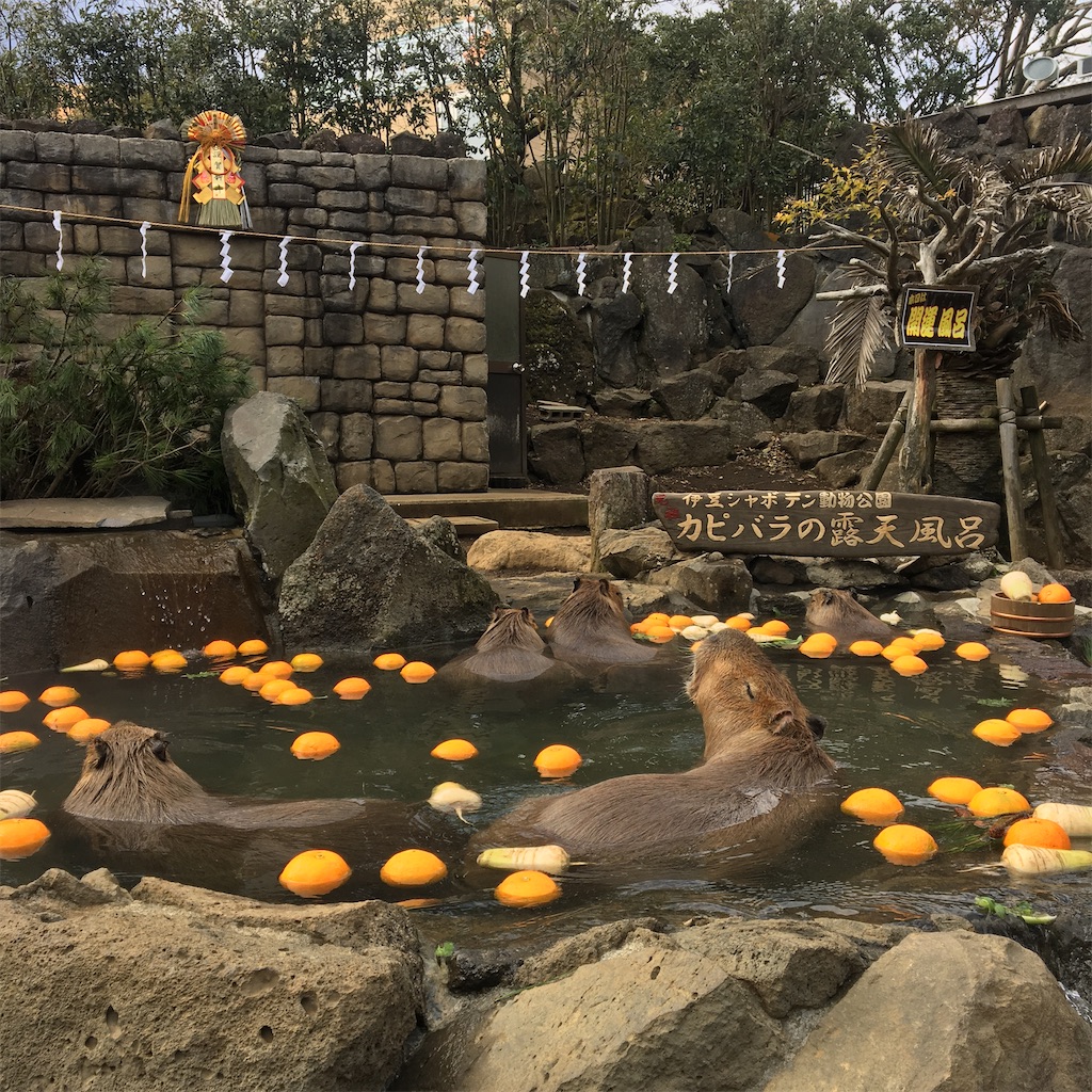 f:id:paseyo:20200102180522j:image
