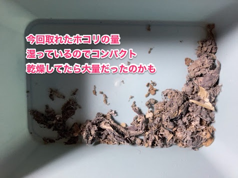 f:id:pasiriuk:20210705163219j:image