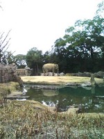 f:id:pasoco:20080302192304j:image