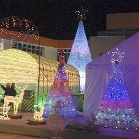 20091227094355