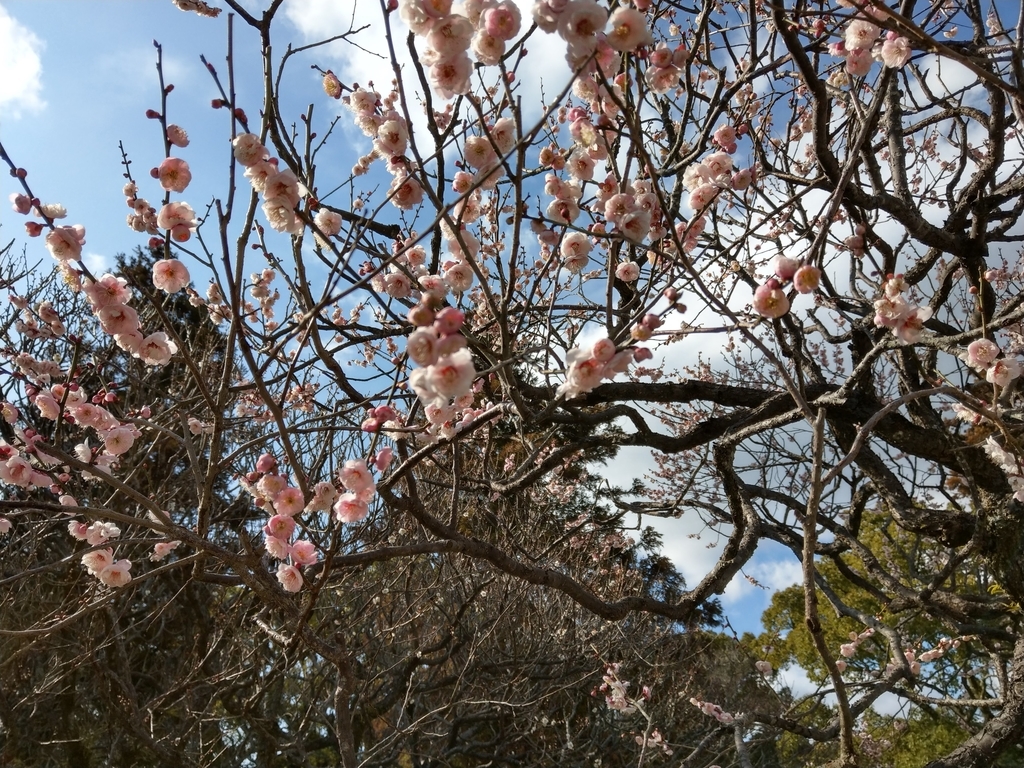f:id:passpied_blog:20190210161538j:plain f:id:passpied_blog:20190210161538j:plain