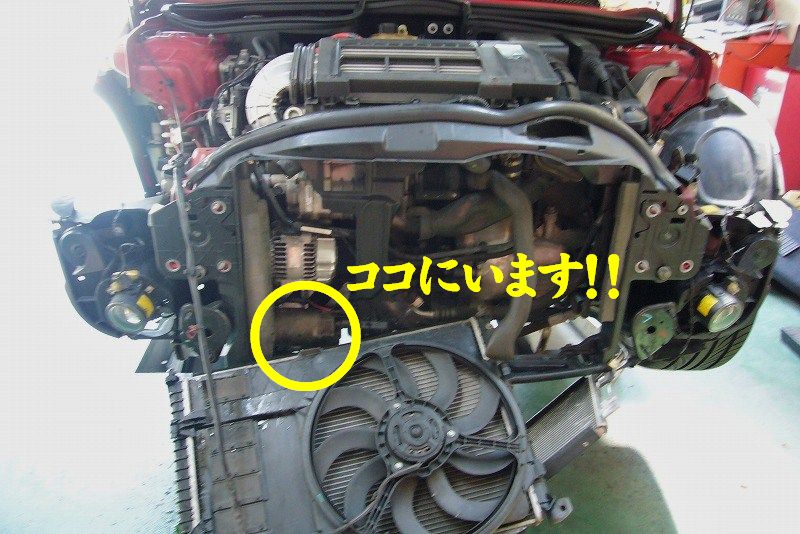イメージ 3