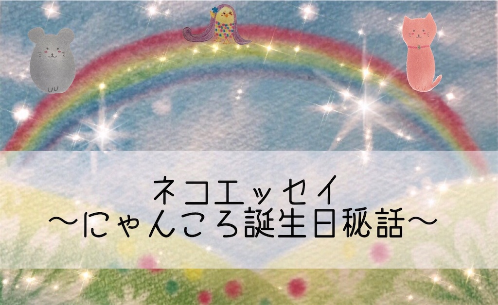 f:id:pasteltomoko:20210222212148j:image f:id:pasteltomoko:20210222212148j:image