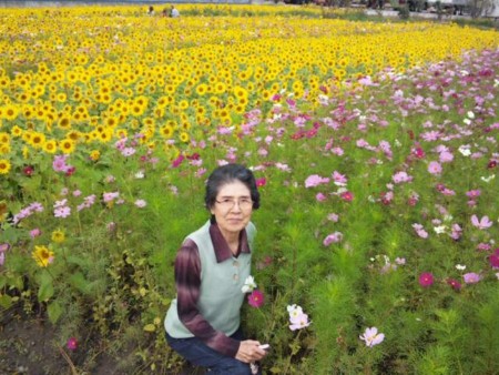 f:id:pata-pon:20131103131408j:image