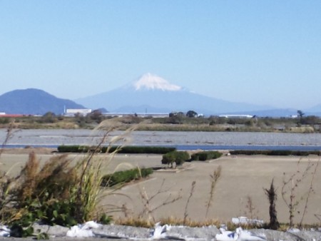 f:id:pata-pon:20131121101039j:image