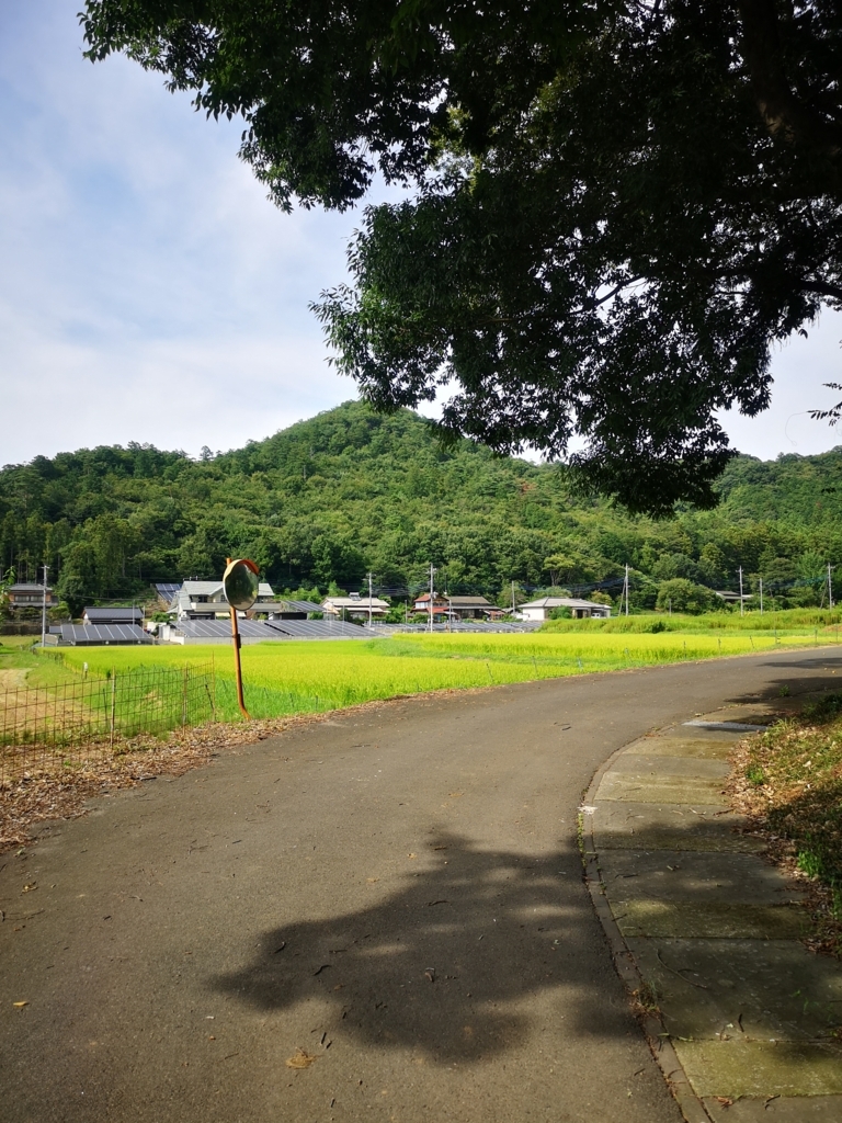 f:id:pata08:20180819151527j:plain f:id:pata08:20180819151527j:plain