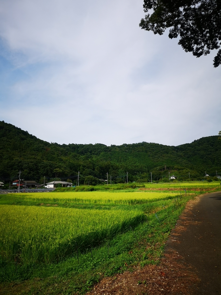 f:id:pata08:20180819151544j:plain f:id:pata08:20180819151544j:plain
