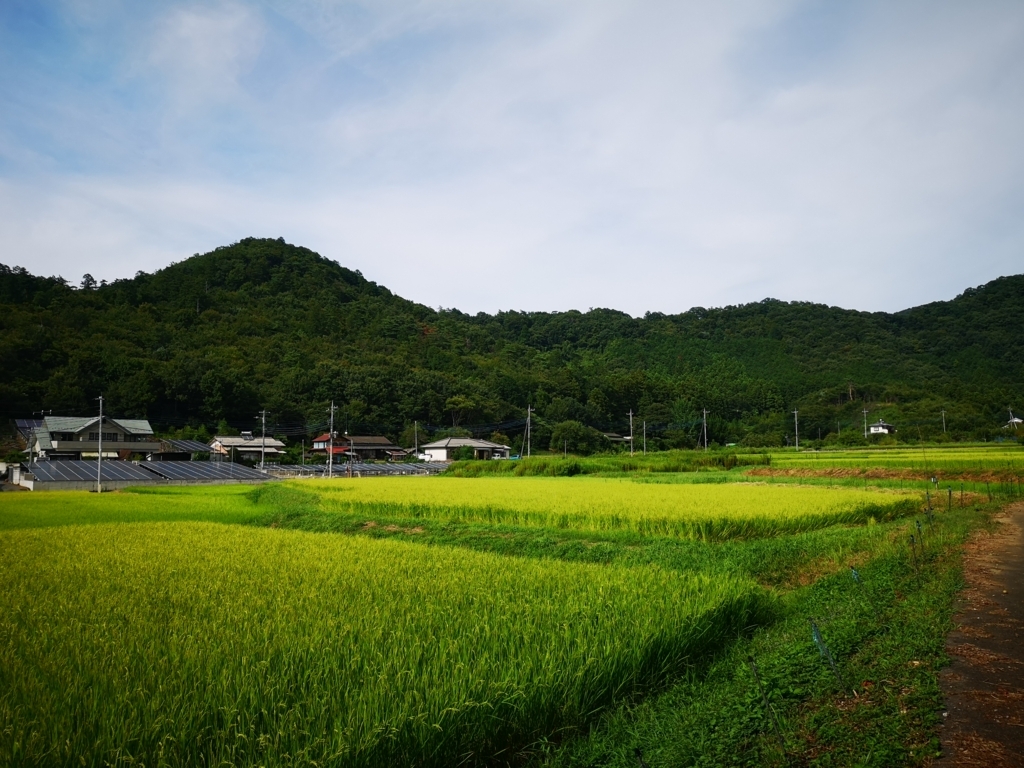 f:id:pata08:20180819151601j:plain f:id:pata08:20180819151601j:plain