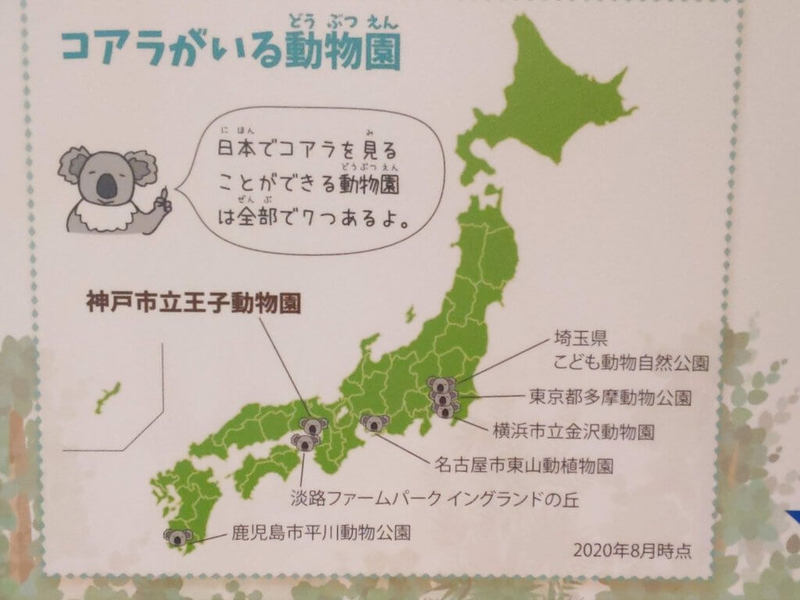 世界コアラの日