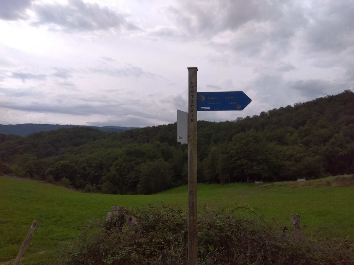 カミーノ DAY3 ロンセスバージェス→ララソアーニャ（Roncesvalles→Larrasoaña） Quantum of Treks