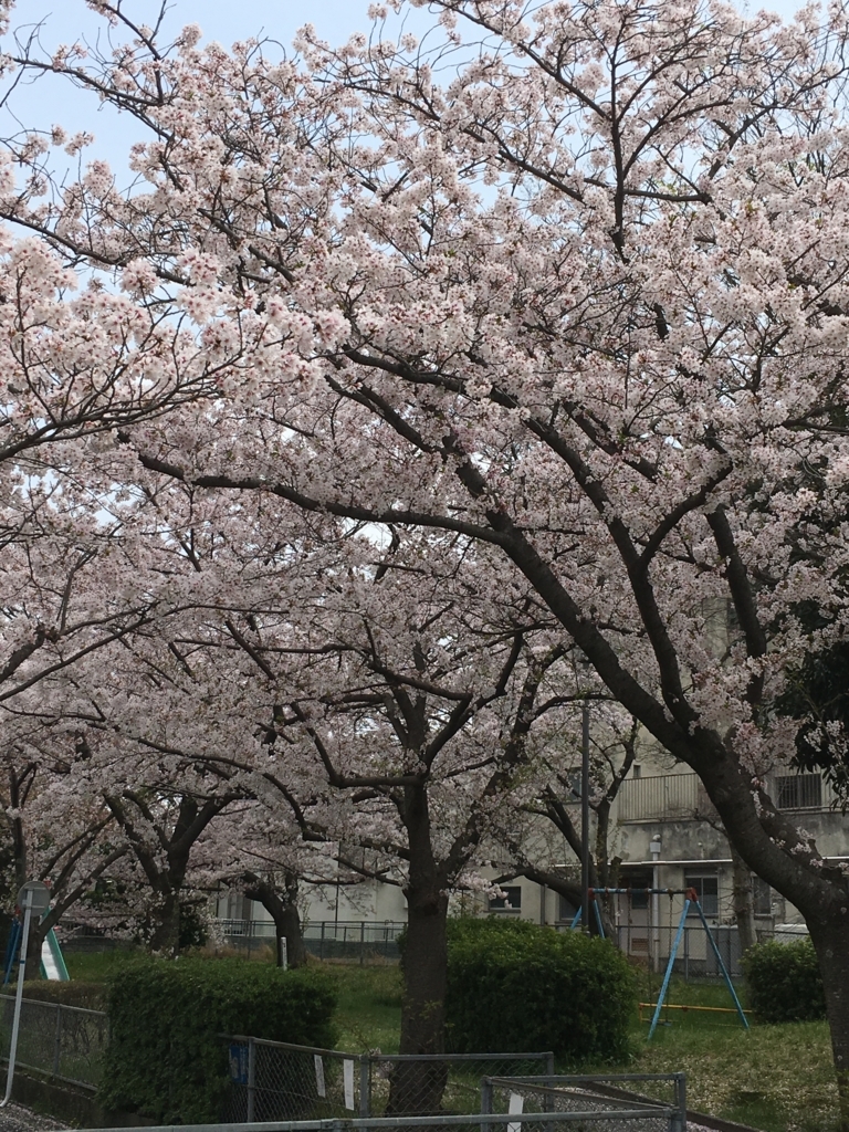 f:id:patakokun:20180409150842j:plain f:id:patakokun:20180409150842j:plain