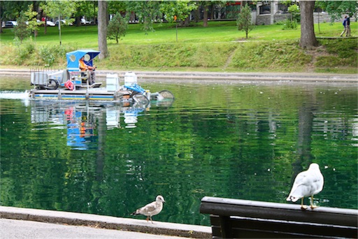 f:id:patamo:20170908213237j:image f:id:patamo:20170908213237j:image