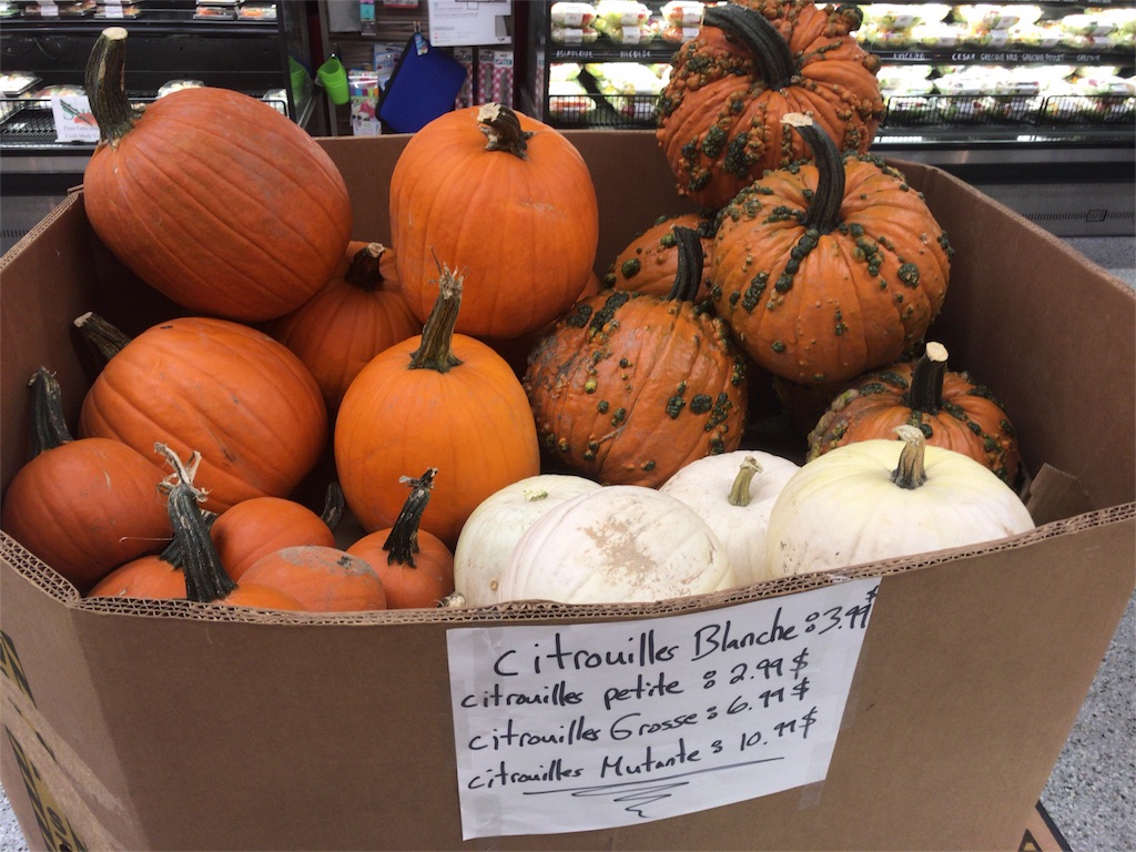 f:id:patamo:20170919102404j:image f:id:patamo:20170919102404j:image