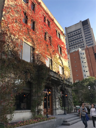 f:id:patamo:20171005133500j:image f:id:patamo:20171005133500j:image