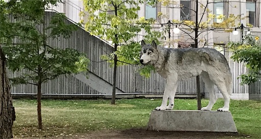 f:id:patamo:20171005192458j:image f:id:patamo:20171005192458j:image