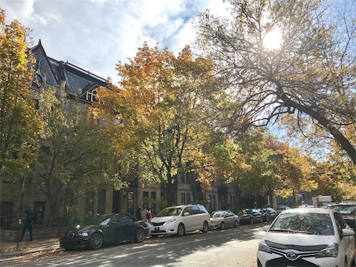 f:id:patamo:20171026132621j:image f:id:patamo:20171026132621j:image