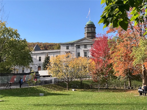 f:id:patamo:20171026132803j:image f:id:patamo:20171026132803j:image