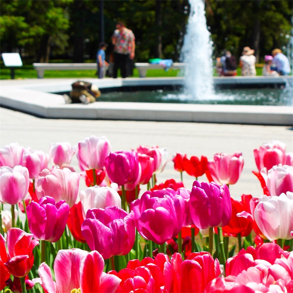 f:id:patamo:20180523163854j:image f:id:patamo:20180523163854j:image