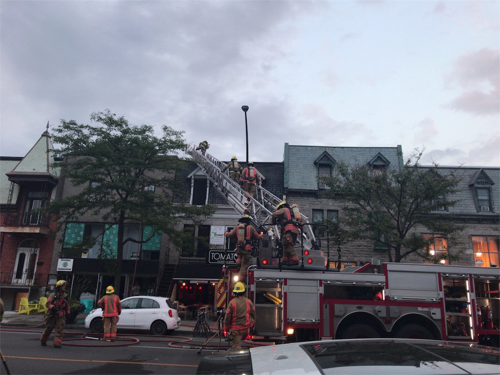 f:id:patamo:20180911053158j:image f:id:patamo:20180911053158j:image