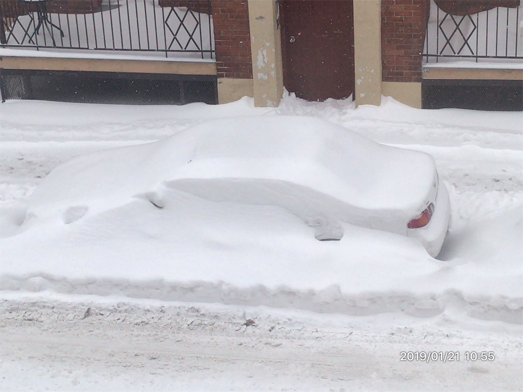 f:id:patamo:20190126001434j:image