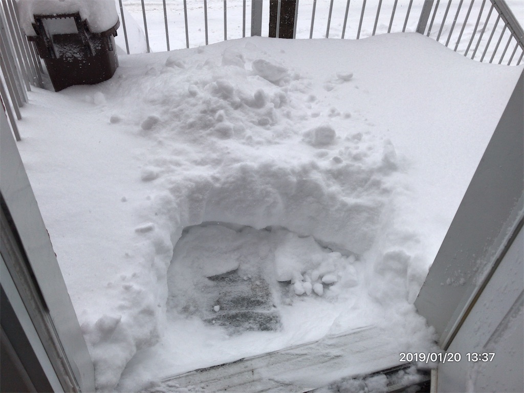 f:id:patamo:20190126001810j:image