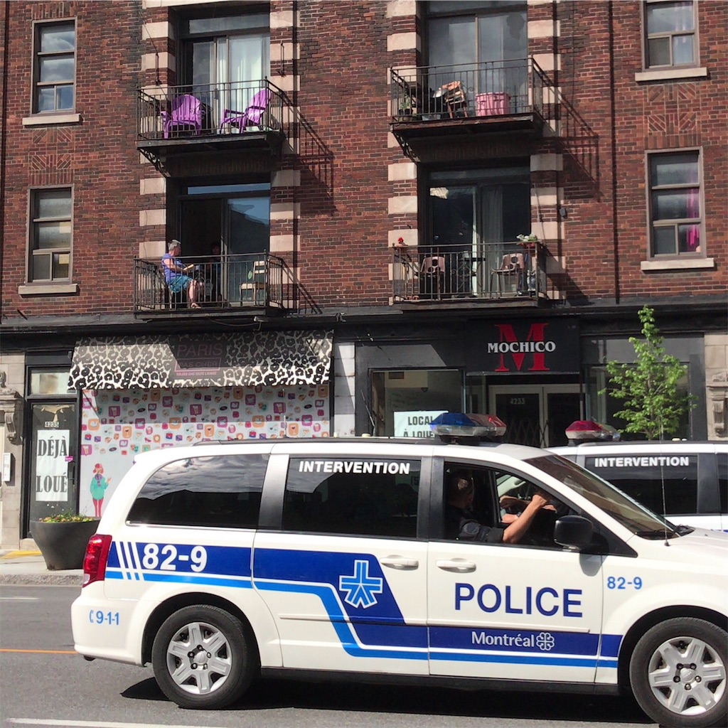 f:id:patamo:20190516160958j:image f:id:patamo:20190516160958j:image