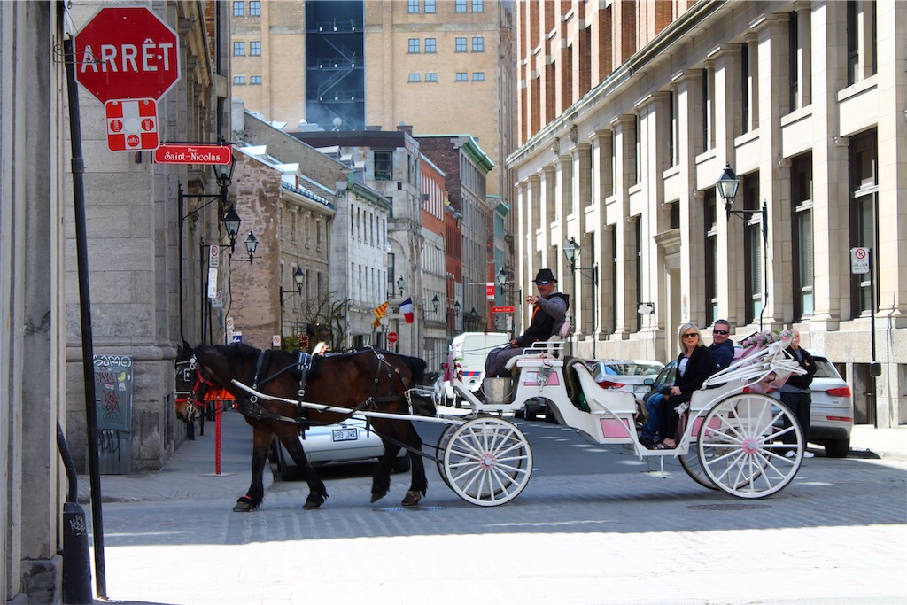 f:id:patamo:20190516162039j:image f:id:patamo:20190516162039j:image