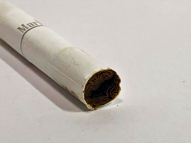 f:id:patariro555:20180614202138j:plain