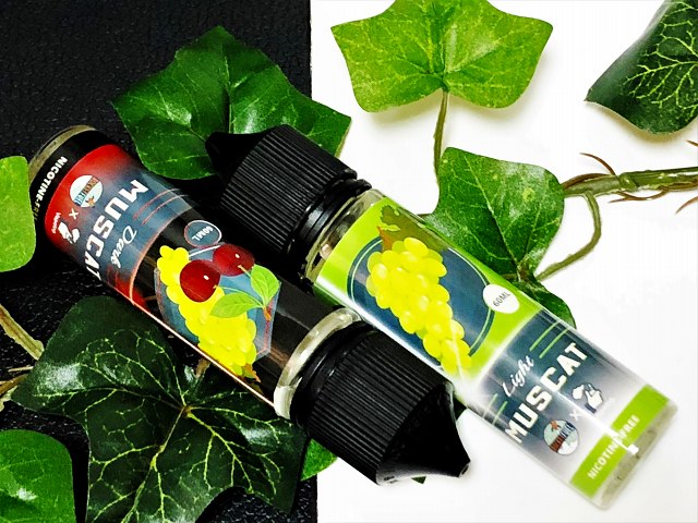 f:id:patariro555:20180712113915j:plain