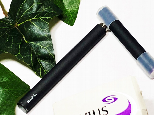 f:id:patariro555:20180715013422j:plain