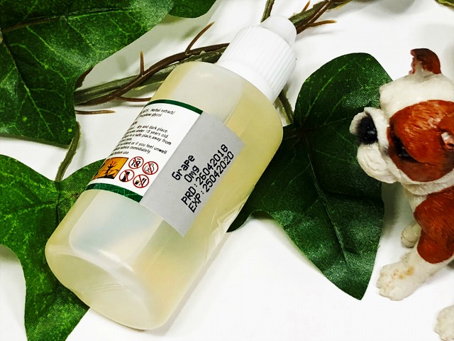 f:id:patariro555:20180720233011j:plain