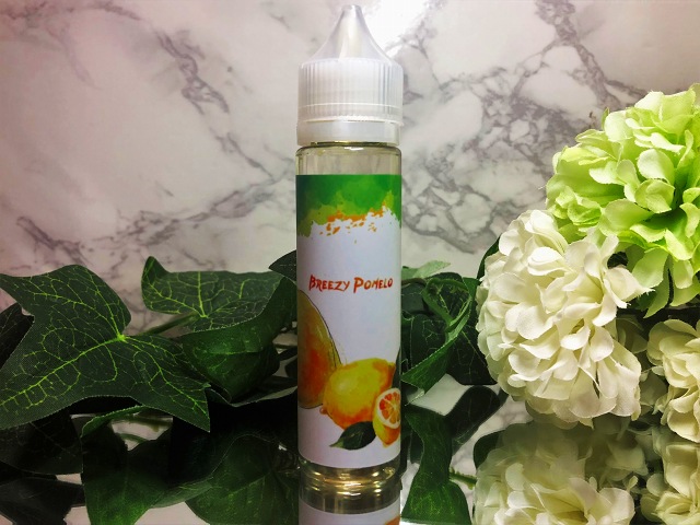 f:id:patariro555:20181029115844j:plain