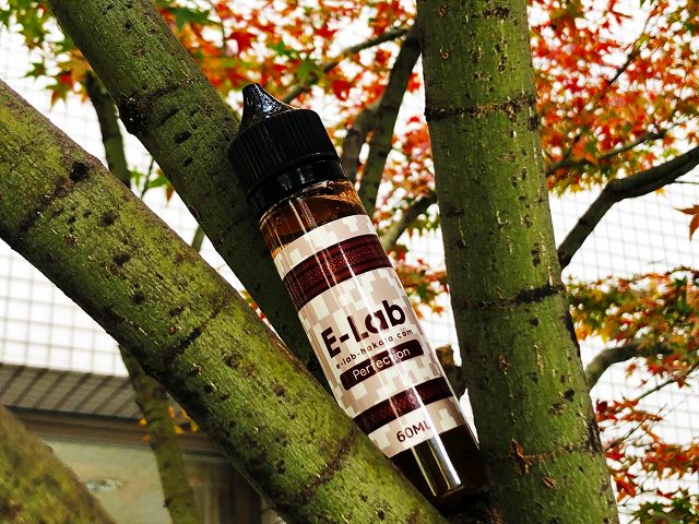 f:id:patariro555:20181128164648j:plain