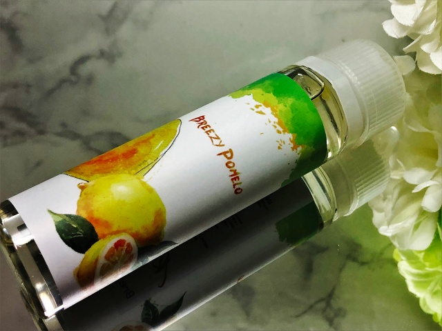 f:id:patariro555:20181229152311j:plain