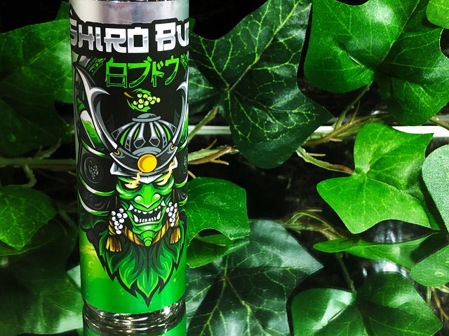 f:id:patariro555:20181229152604j:plain