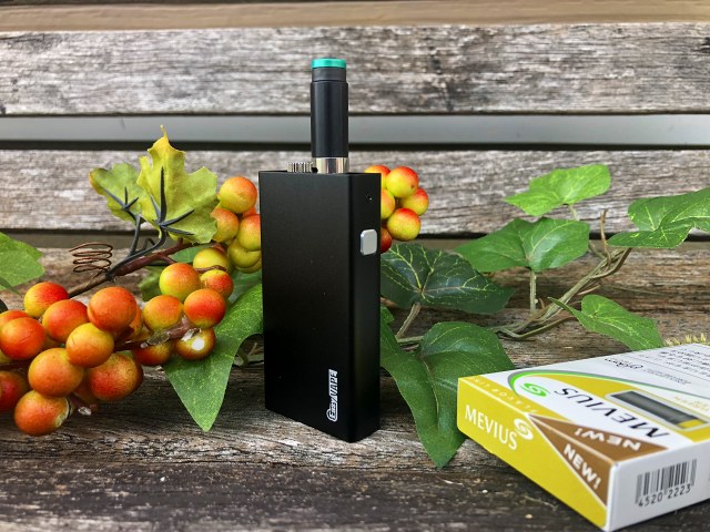 f:id:patariro555:20181229171903j:plain