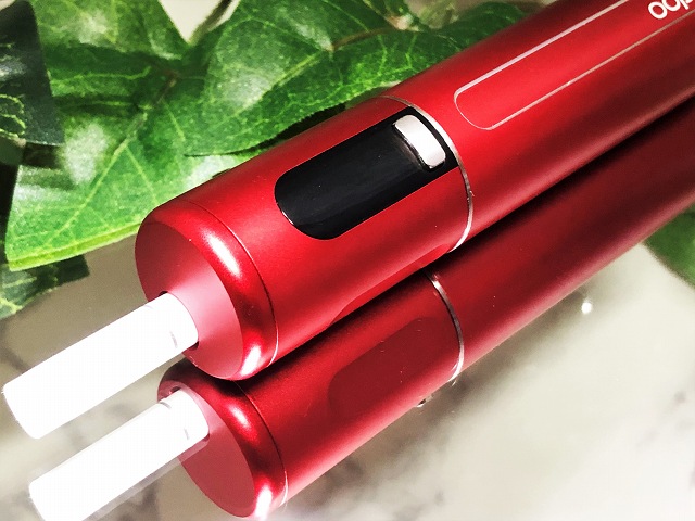 f:id:patariro555:20190109123022j:plain