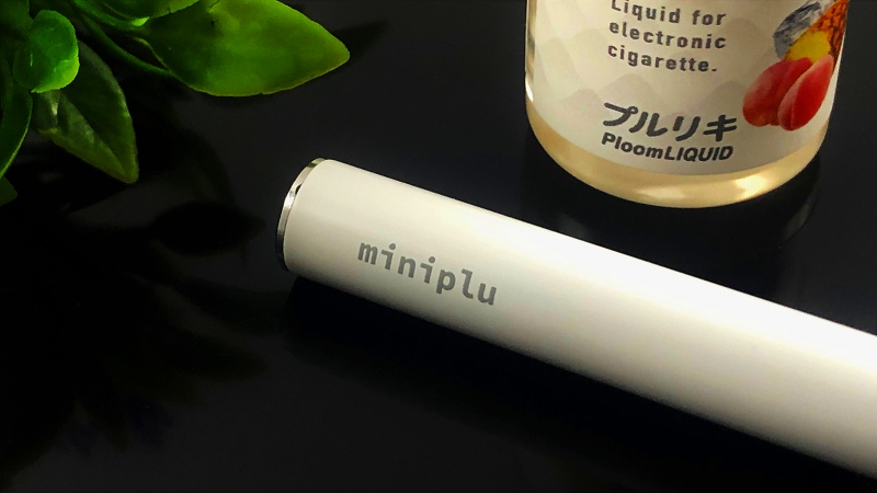 f:id:patariro555:20191016045244j:plain