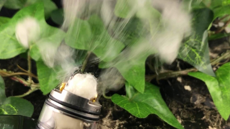 f:id:patariro555:20191117234124j:plain