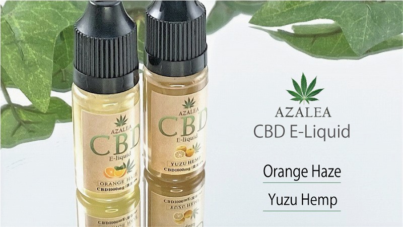 f:id:patariro555:20210413013632j:plain