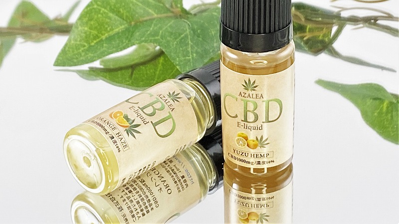 f:id:patariro555:20210413025642j:plain