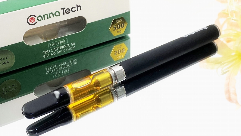 f:id:patariro555:20210716232821j:plain