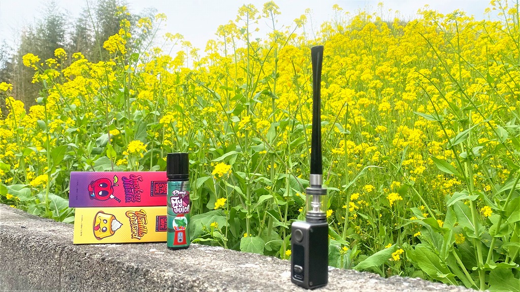 f:id:patariro555:20220322014147j:plain