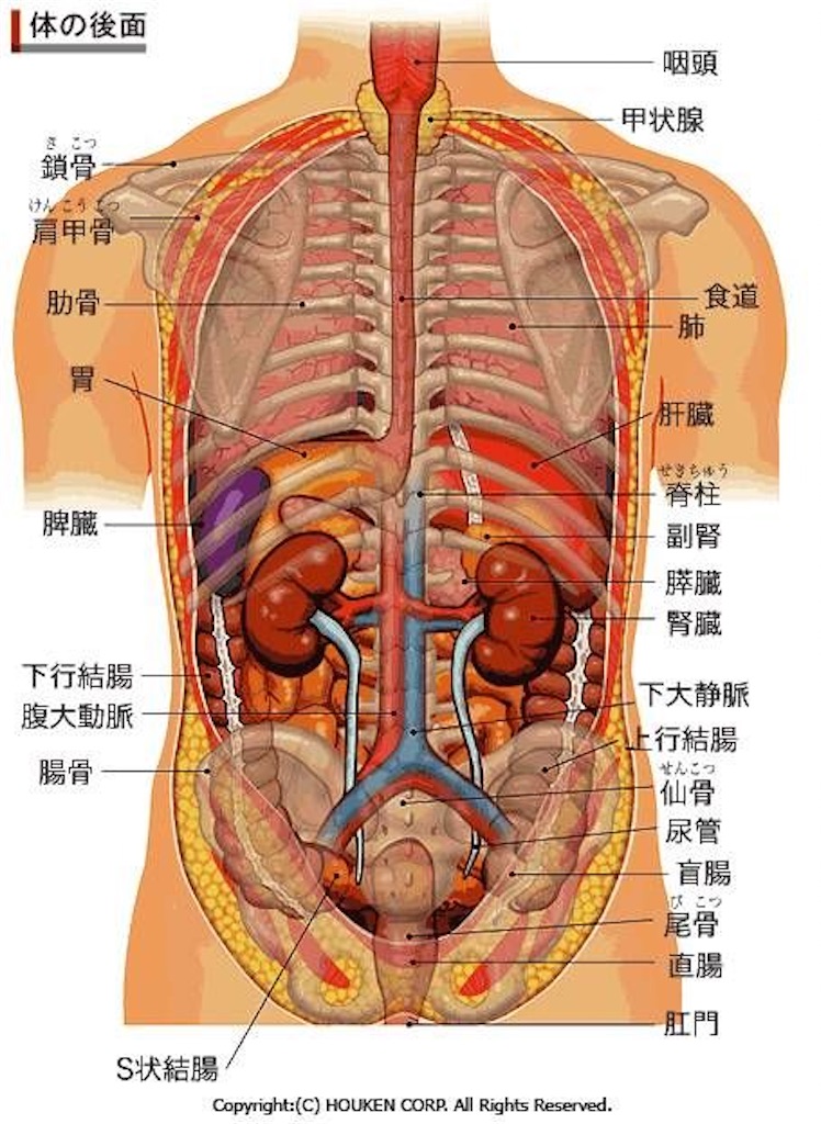 f:id:patayang:20210719085046j:image f:id:patayang:20210719085046j:image
