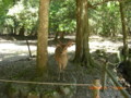 20100515130716